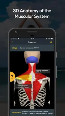 Yoga by Muscle & Motion android App screenshot 1